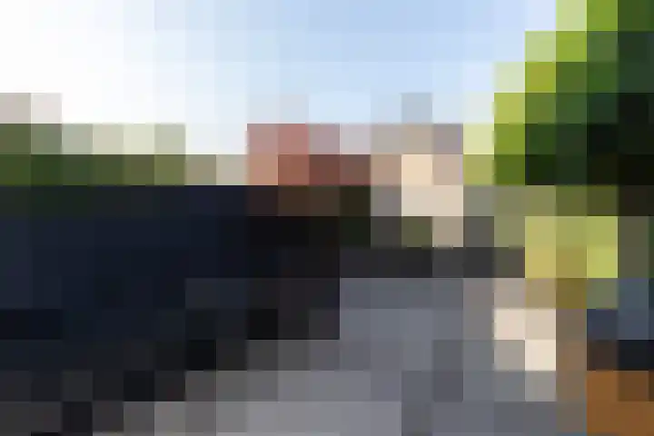Duizendschoon 3 Hendrik-Ido-Ambacht thumbnail 25