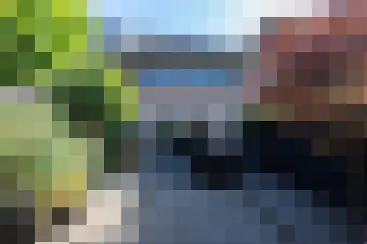 Duizendschoon 3 Hendrik-Ido-Ambacht thumbnail 27