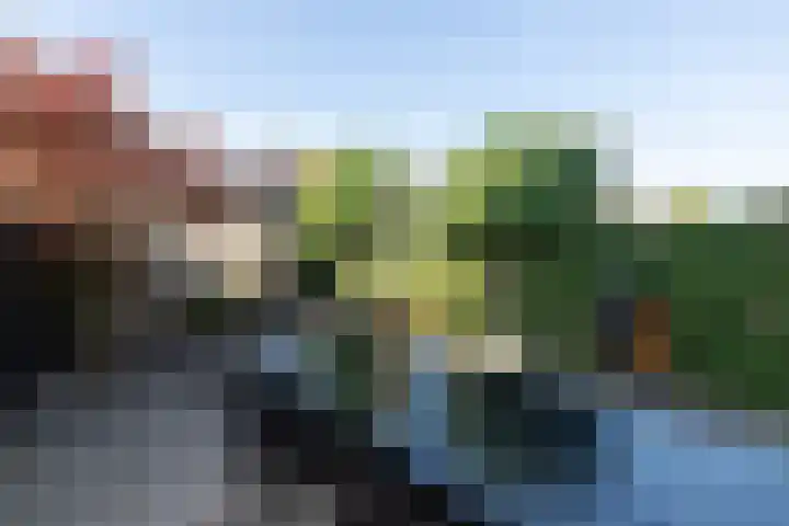 Duizendschoon 3 Hendrik-Ido-Ambacht thumbnail 4