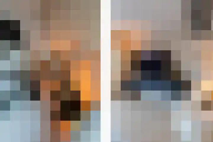 Duizendschoon 3 Hendrik-Ido-Ambacht thumbnail 9