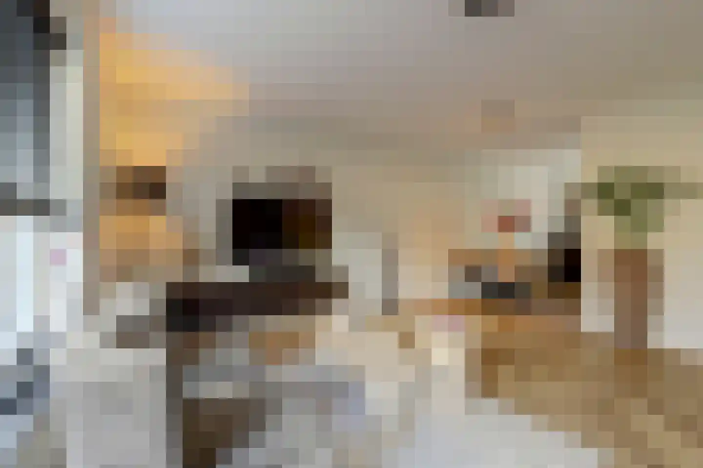 Duizendschoon 4 Hendrik-Ido-Ambacht thumbnail 13