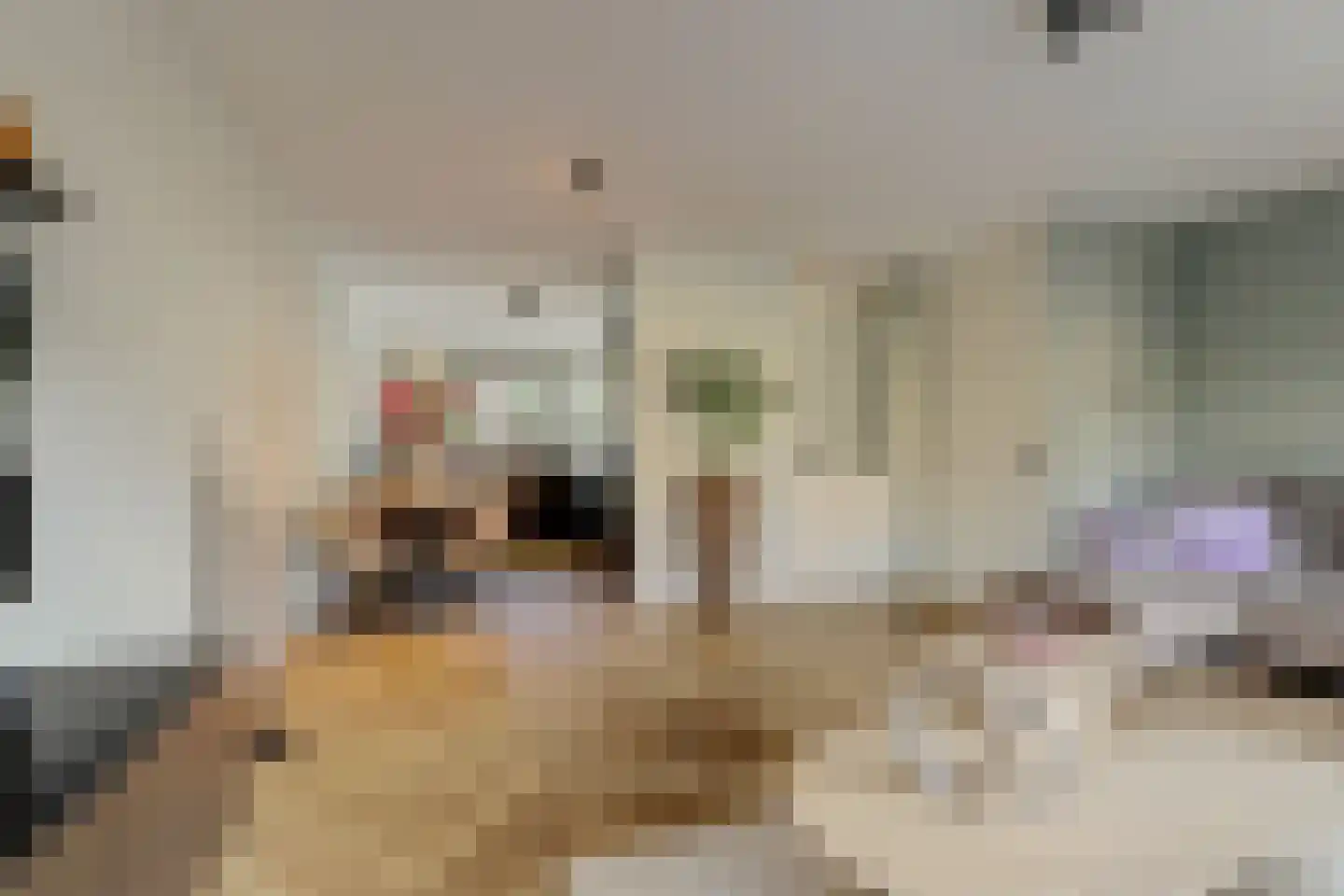 Duizendschoon 4 Hendrik-Ido-Ambacht thumbnail 14