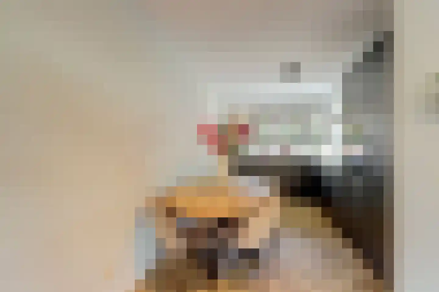 Duizendschoon 4 Hendrik-Ido-Ambacht thumbnail 15