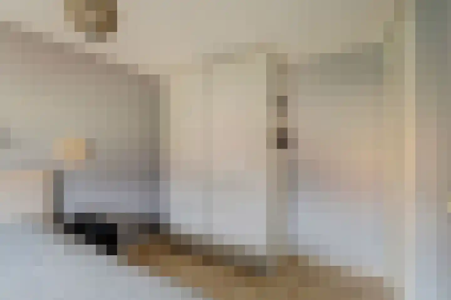 Duizendschoon 4 Hendrik-Ido-Ambacht thumbnail 22