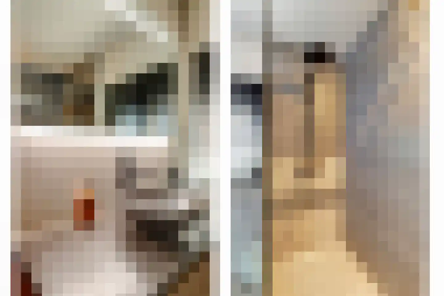 Duizendschoon 4 Hendrik-Ido-Ambacht thumbnail 27