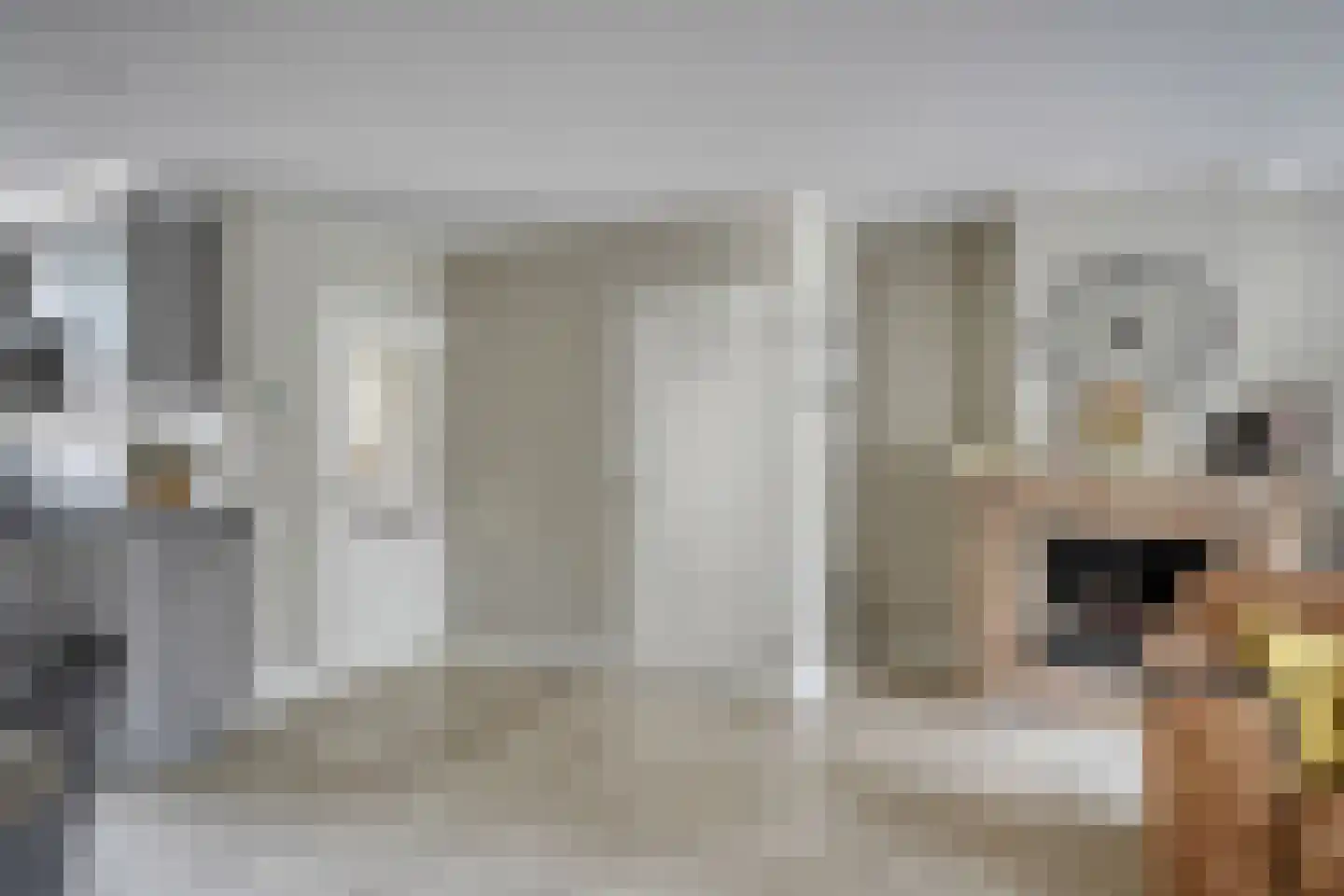 Duizendschoon 49 Rijnsburg thumbnail 11