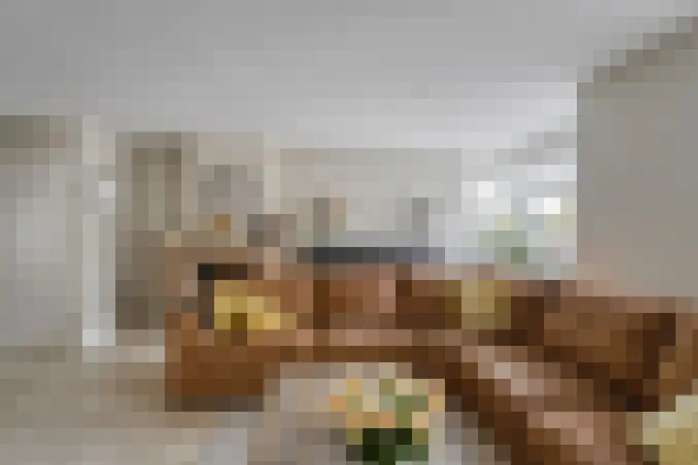 Duizendschoon 49 Rijnsburg thumbnail 12