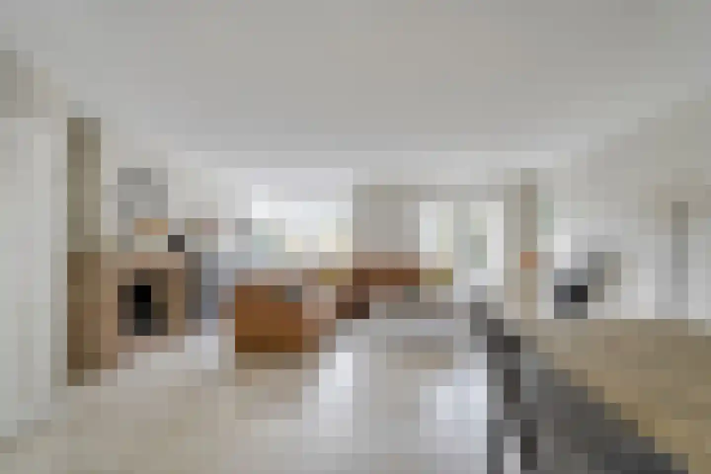 Duizendschoon 49 Rijnsburg thumbnail 13