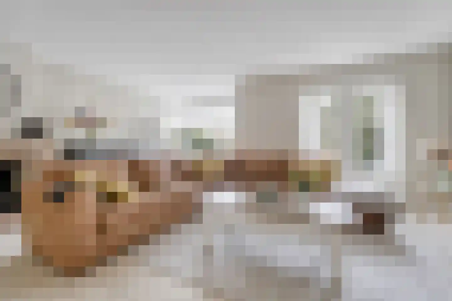 Duizendschoon 49 Rijnsburg thumbnail 14