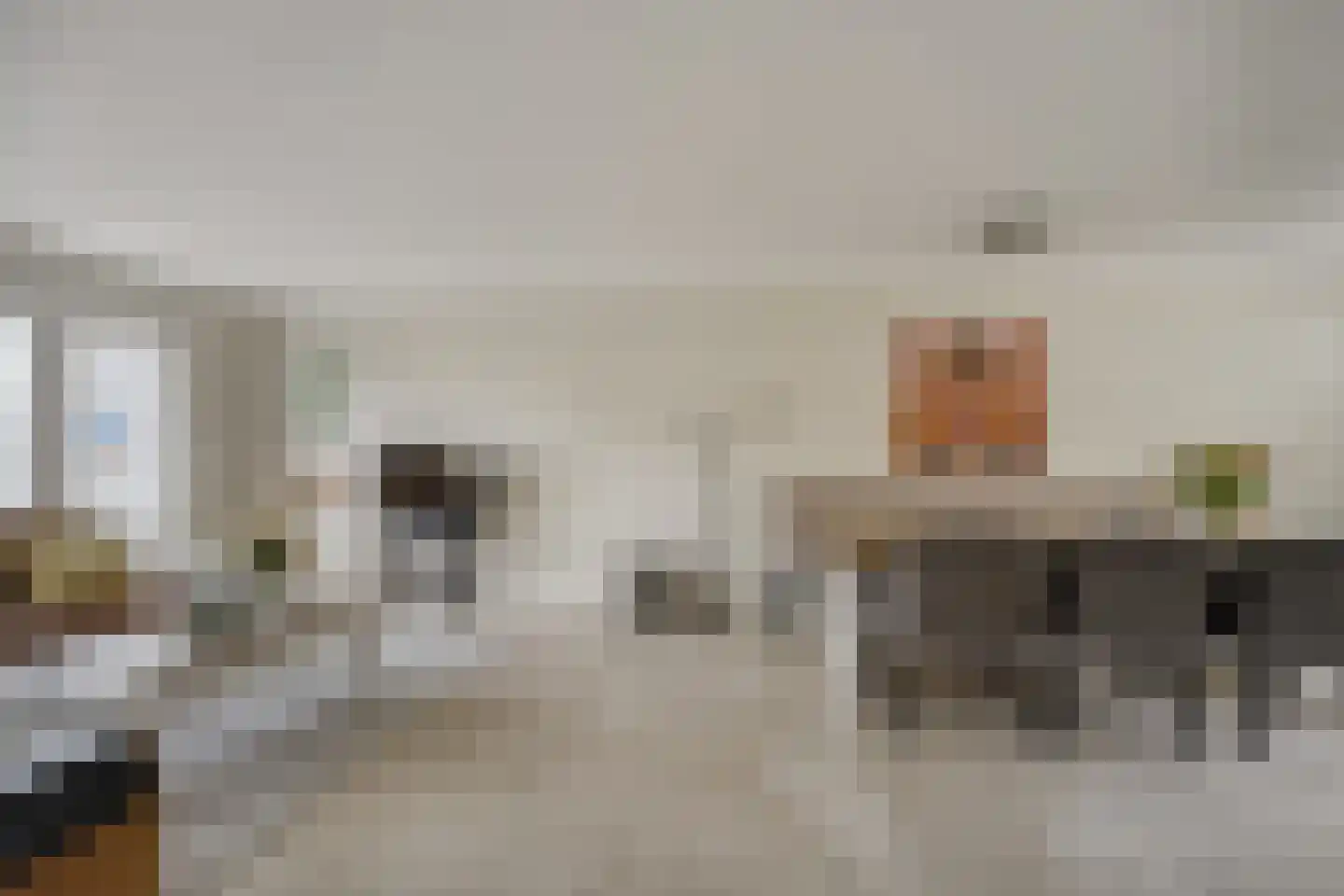 Duizendschoon 49 Rijnsburg thumbnail 15