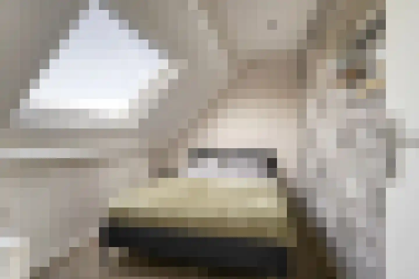 Duizendschoon 49 Rijnsburg thumbnail 37