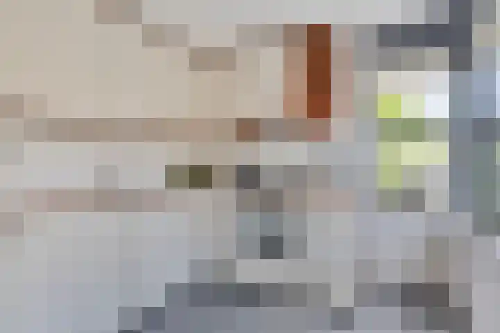 Duizendschoon 51 Hendrik-Ido-Ambacht thumbnail 13