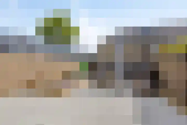 Duizendschoon 51 Hendrik-Ido-Ambacht thumbnail 26