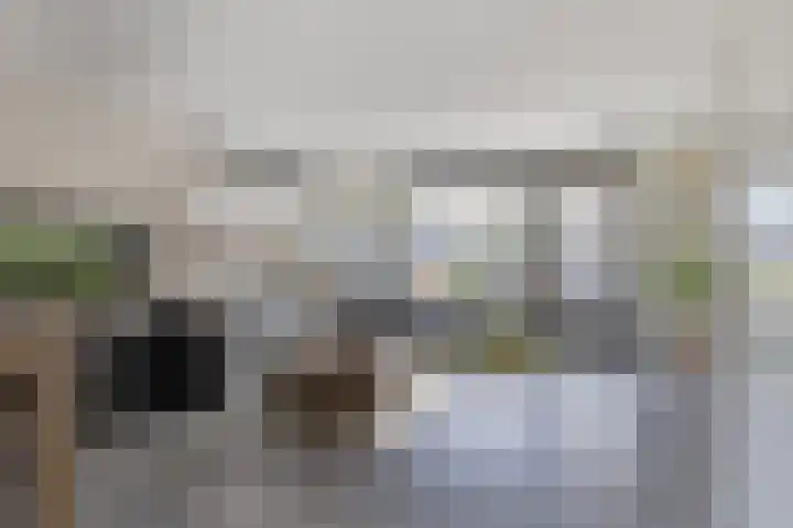Duizendschoon 51 Hendrik-Ido-Ambacht thumbnail 7