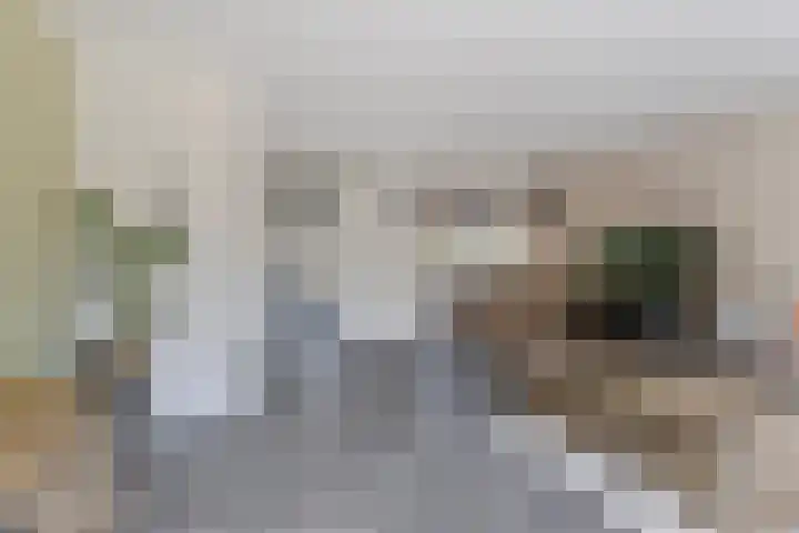 Duizendschoon 51 Hendrik-Ido-Ambacht thumbnail 8
