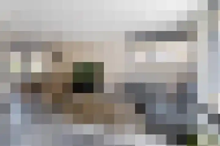 Duizendschoon 51 Hendrik-Ido-Ambacht thumbnail 9
