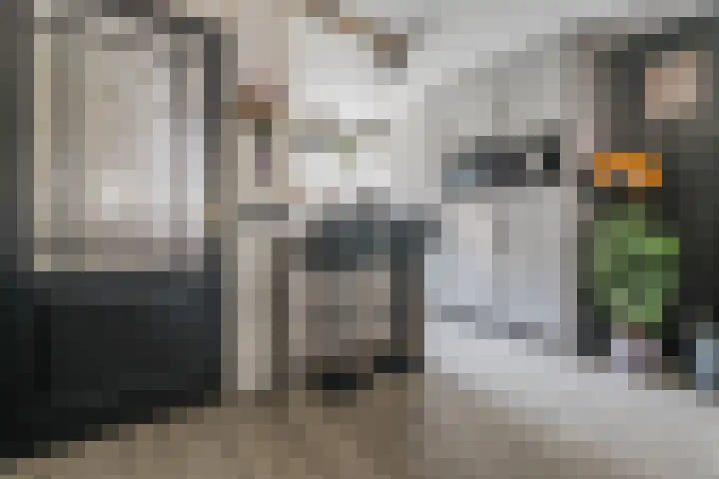 Duizendschoon 53 Hendrik-Ido-Ambacht thumbnail 13