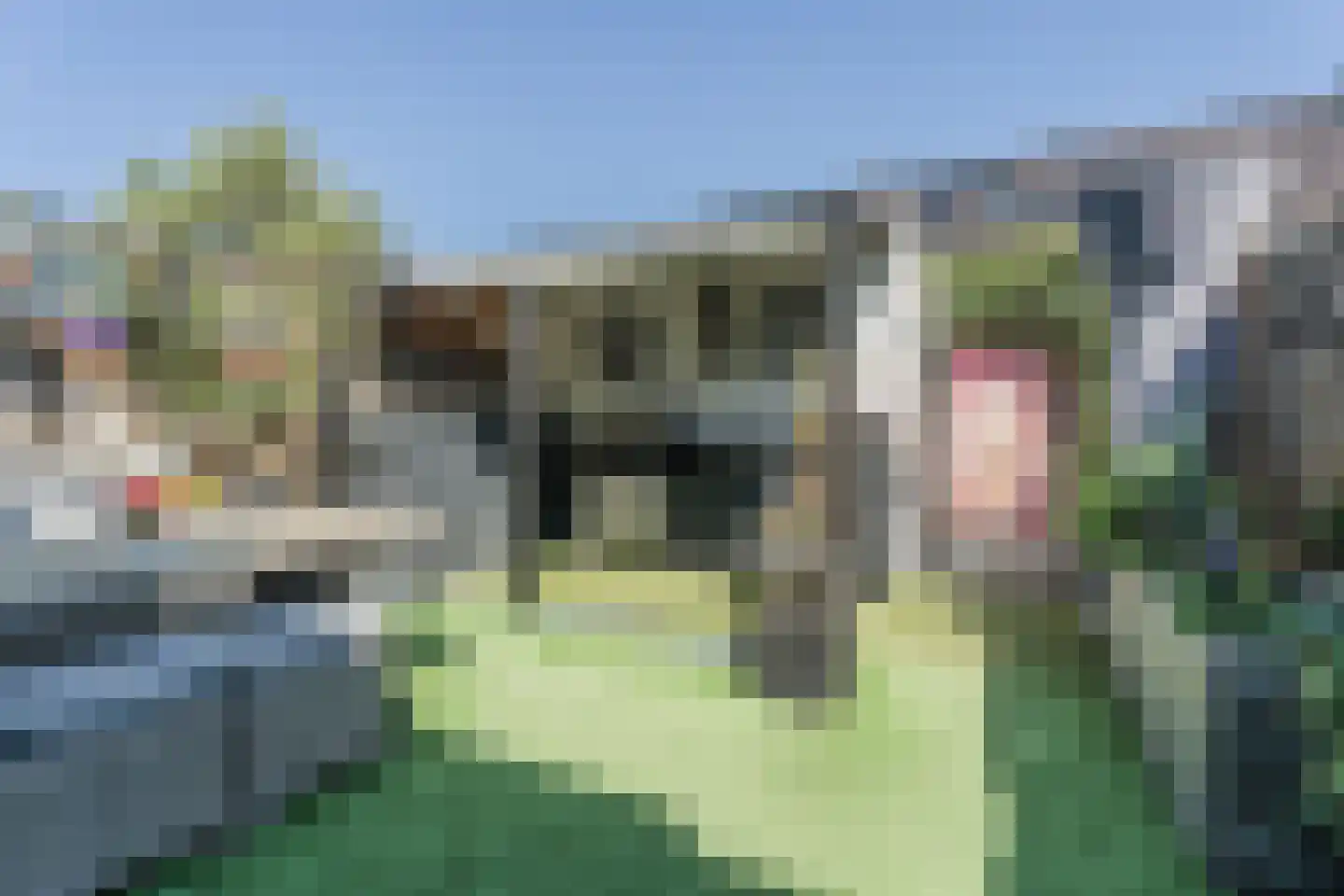 Duizendschoon 53 Hendrik-Ido-Ambacht thumbnail 24