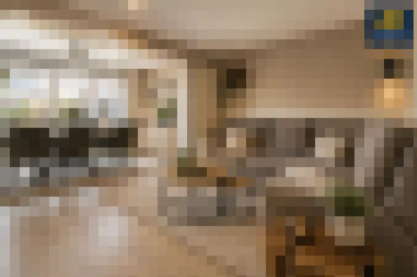 Duizendschoon 53 Hendrik-Ido-Ambacht thumbnail 6