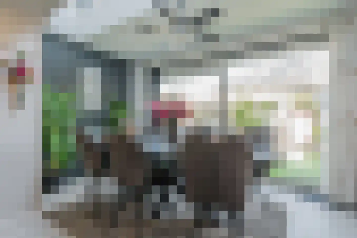 Duizendschoon 53 Hendrik-Ido-Ambacht thumbnail 7