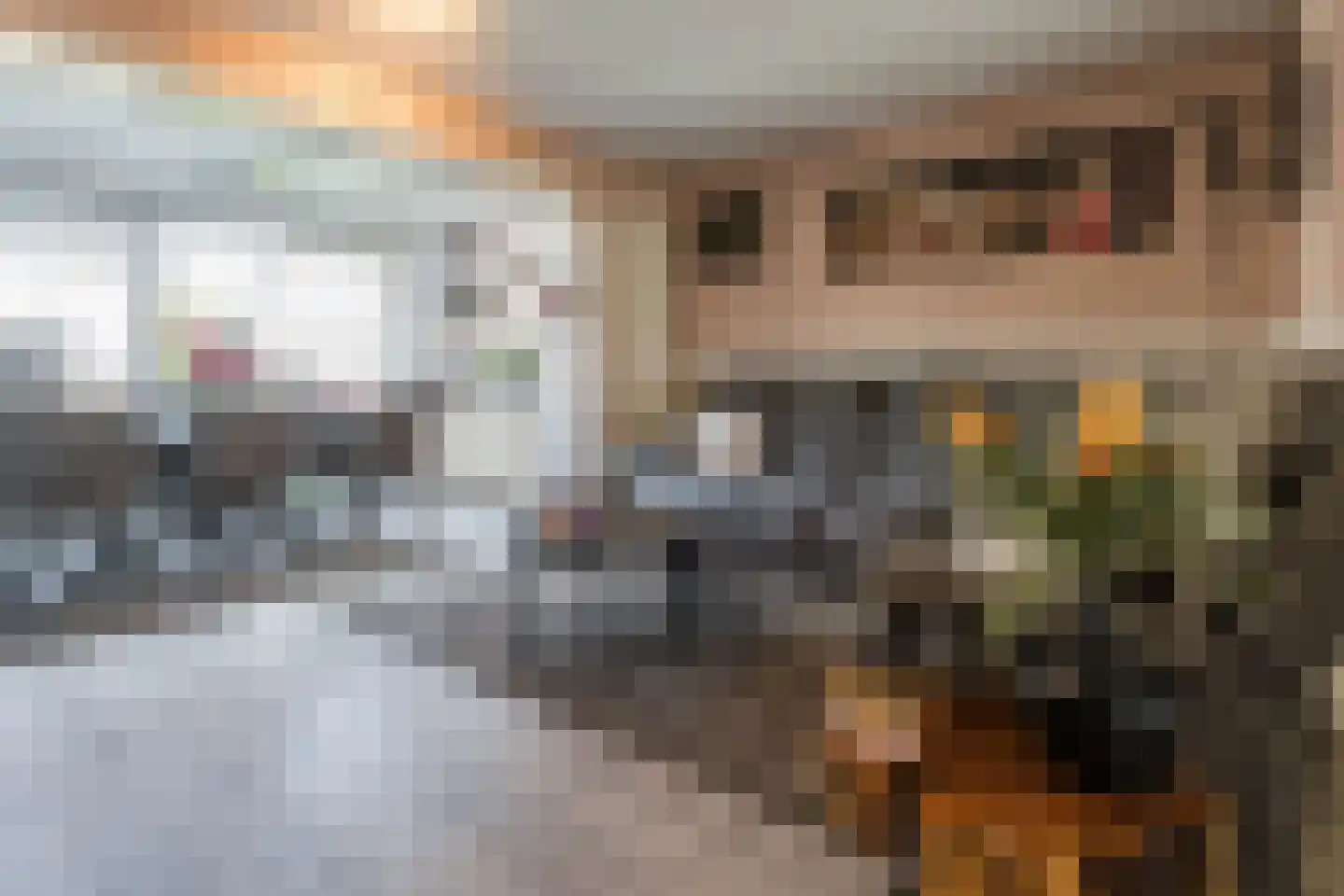 Duizendschoon 53 Hendrik-Ido-Ambacht thumbnail 7