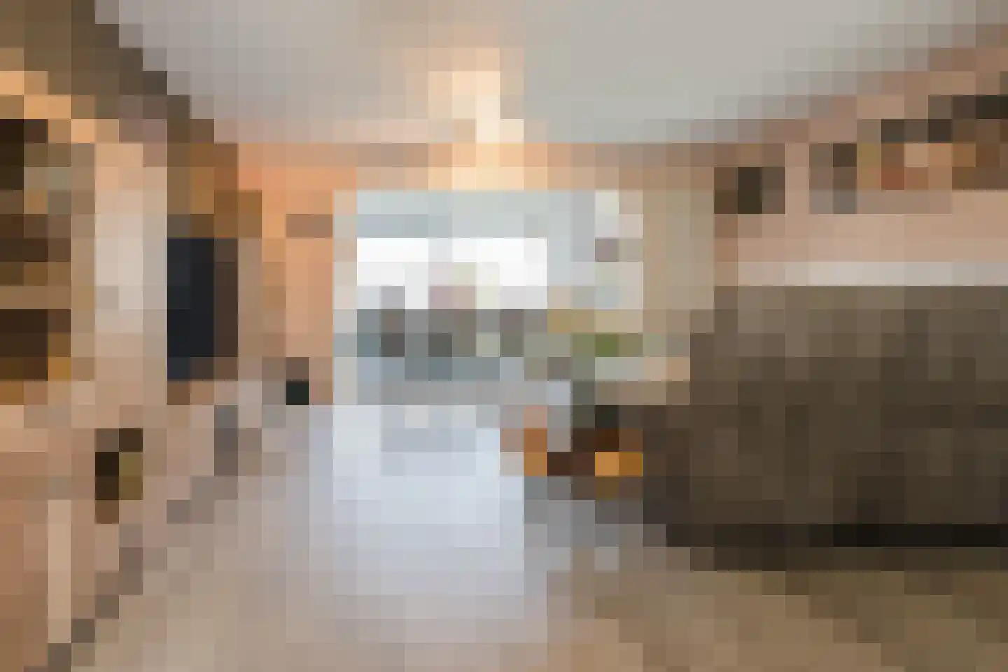 Duizendschoon 53 Hendrik-Ido-Ambacht thumbnail 8