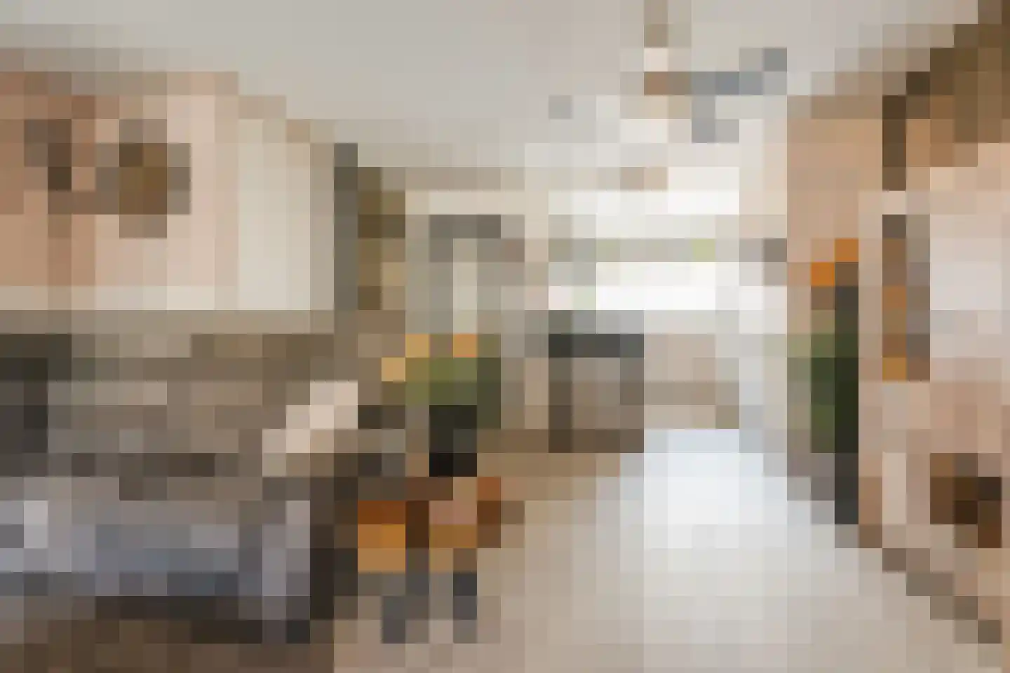 Duizendschoon 53 Hendrik-Ido-Ambacht thumbnail 9
