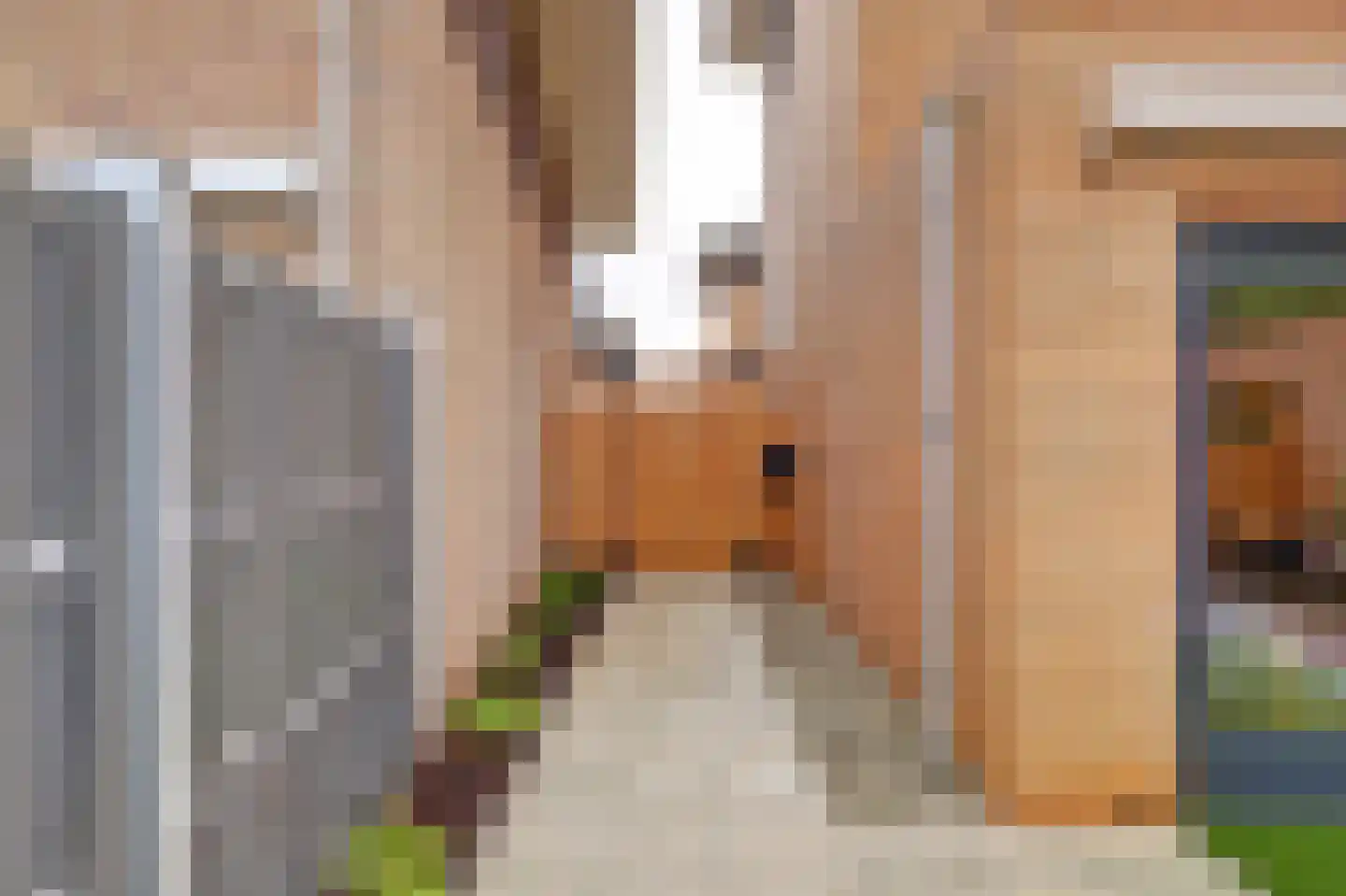 Duizendschoon 65 Hendrik-Ido-Ambacht thumbnail 36
