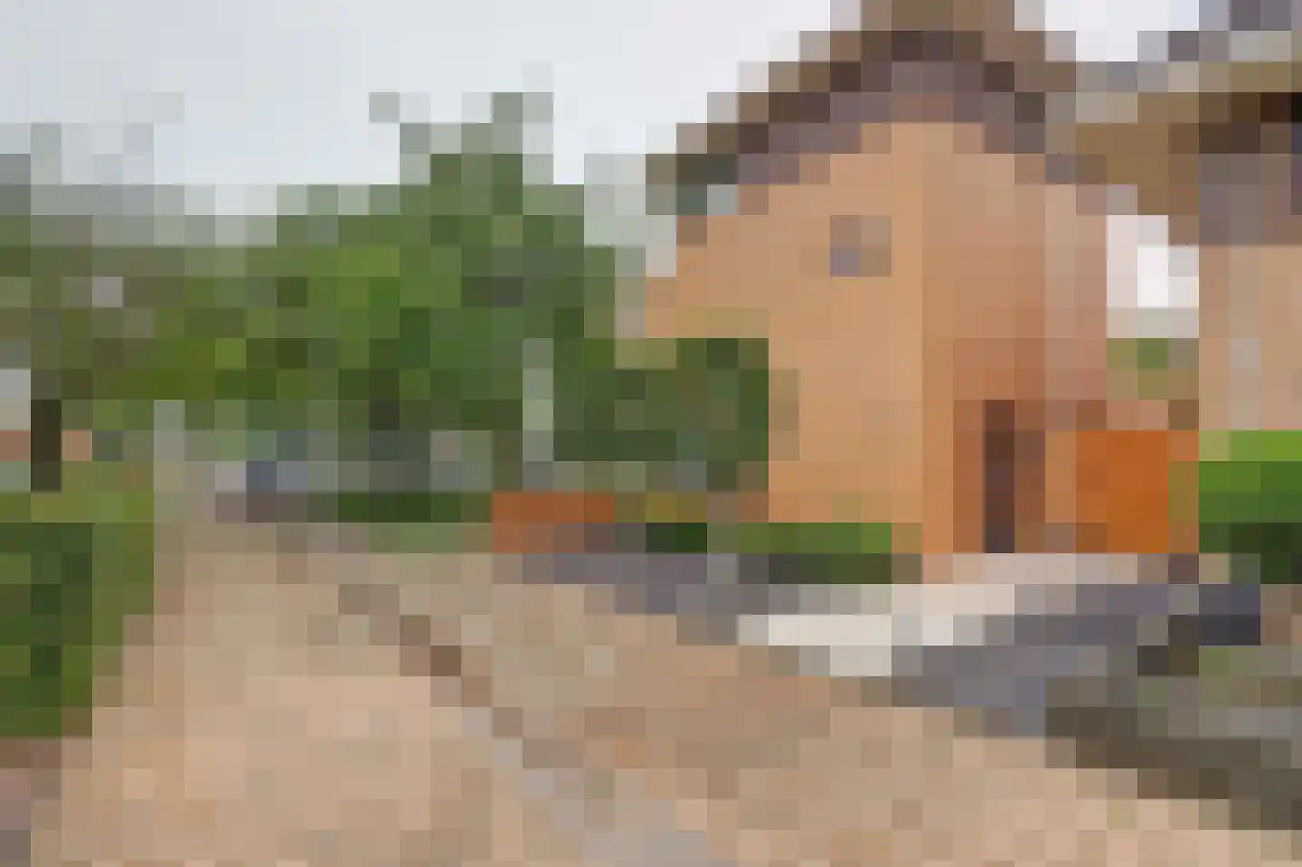 Duizendschoon 65 Hendrik-Ido-Ambacht thumbnail 6