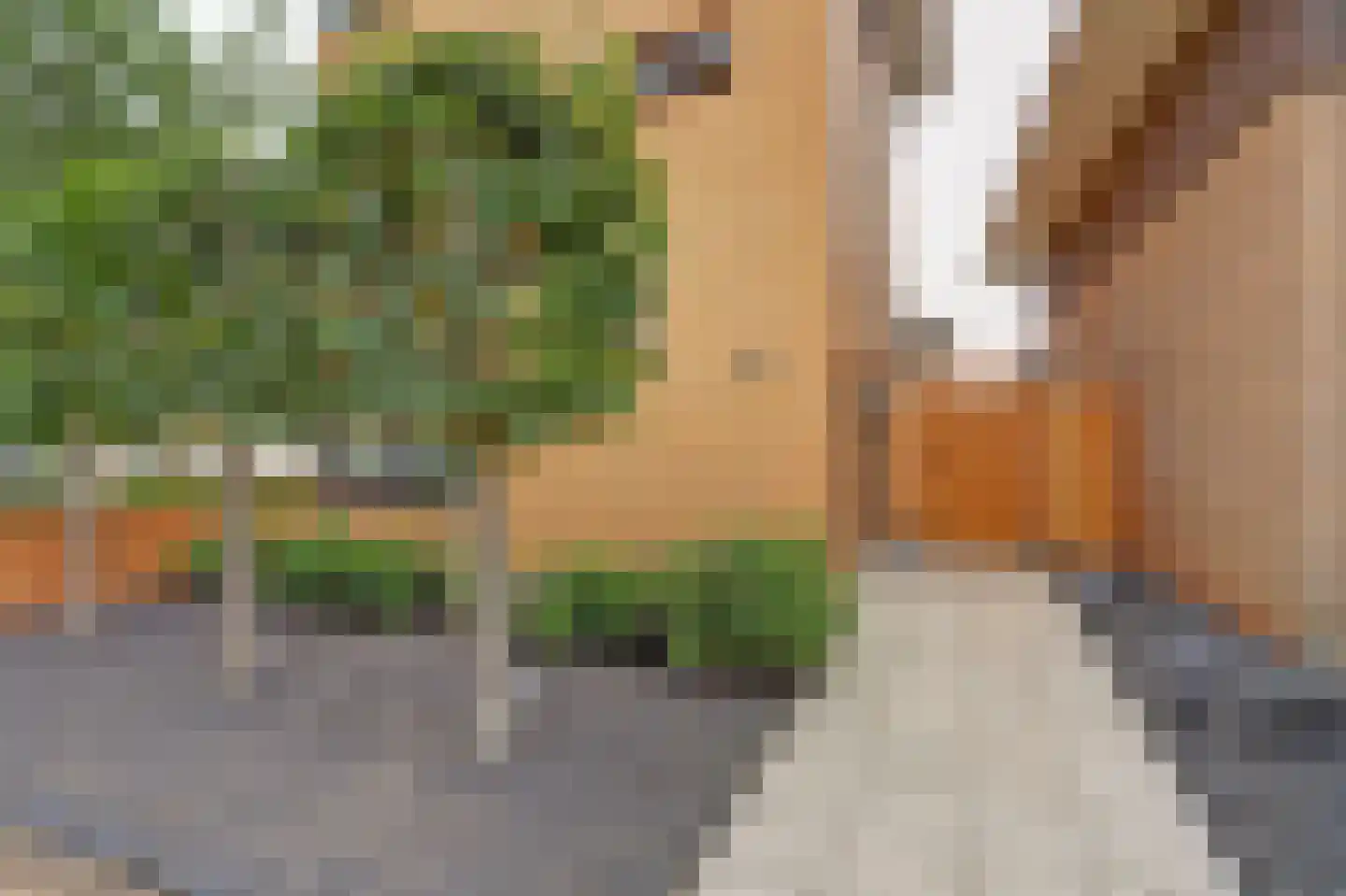 Duizendschoon 65 Hendrik-Ido-Ambacht thumbnail 7