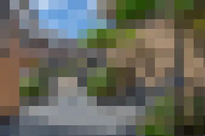 Duizendschoon 91 Hendrik-Ido-Ambacht thumbnail 30