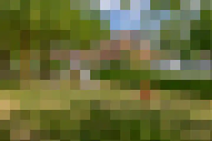 Duizendschoon 91 Hendrik-Ido-Ambacht thumbnail 4