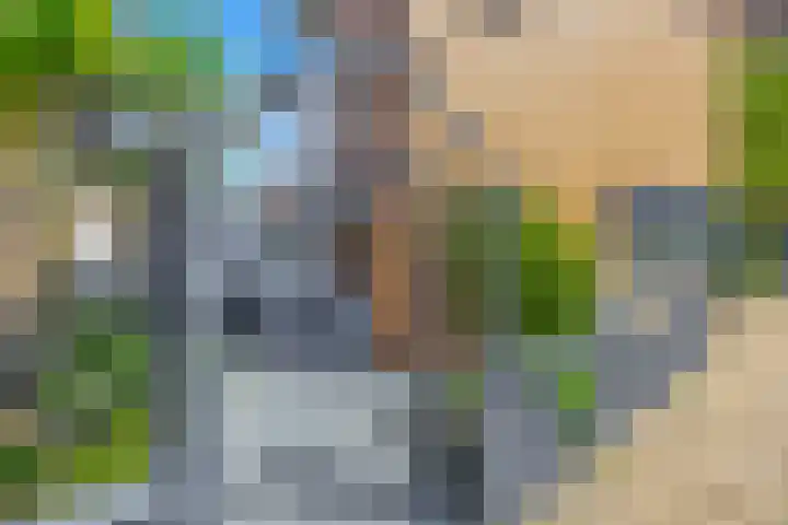 Duizendschoon 91 Hendrik-Ido-Ambacht thumbnail 6