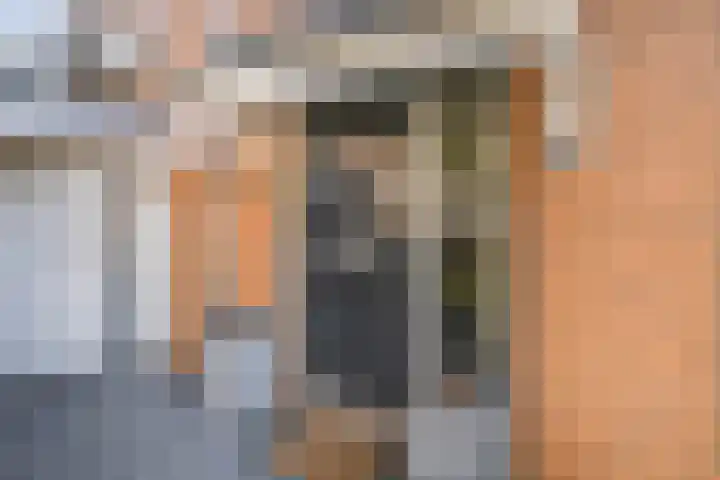 Duizendschoon 91 Hendrik-Ido-Ambacht thumbnail 7