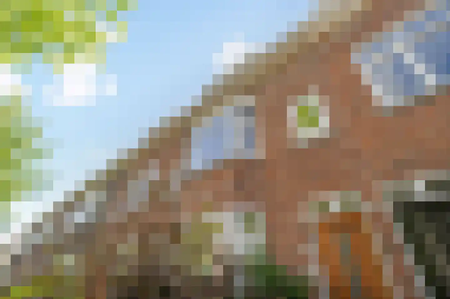 Duizendschoonstraat 22 A Rotterdam thumbnail 21