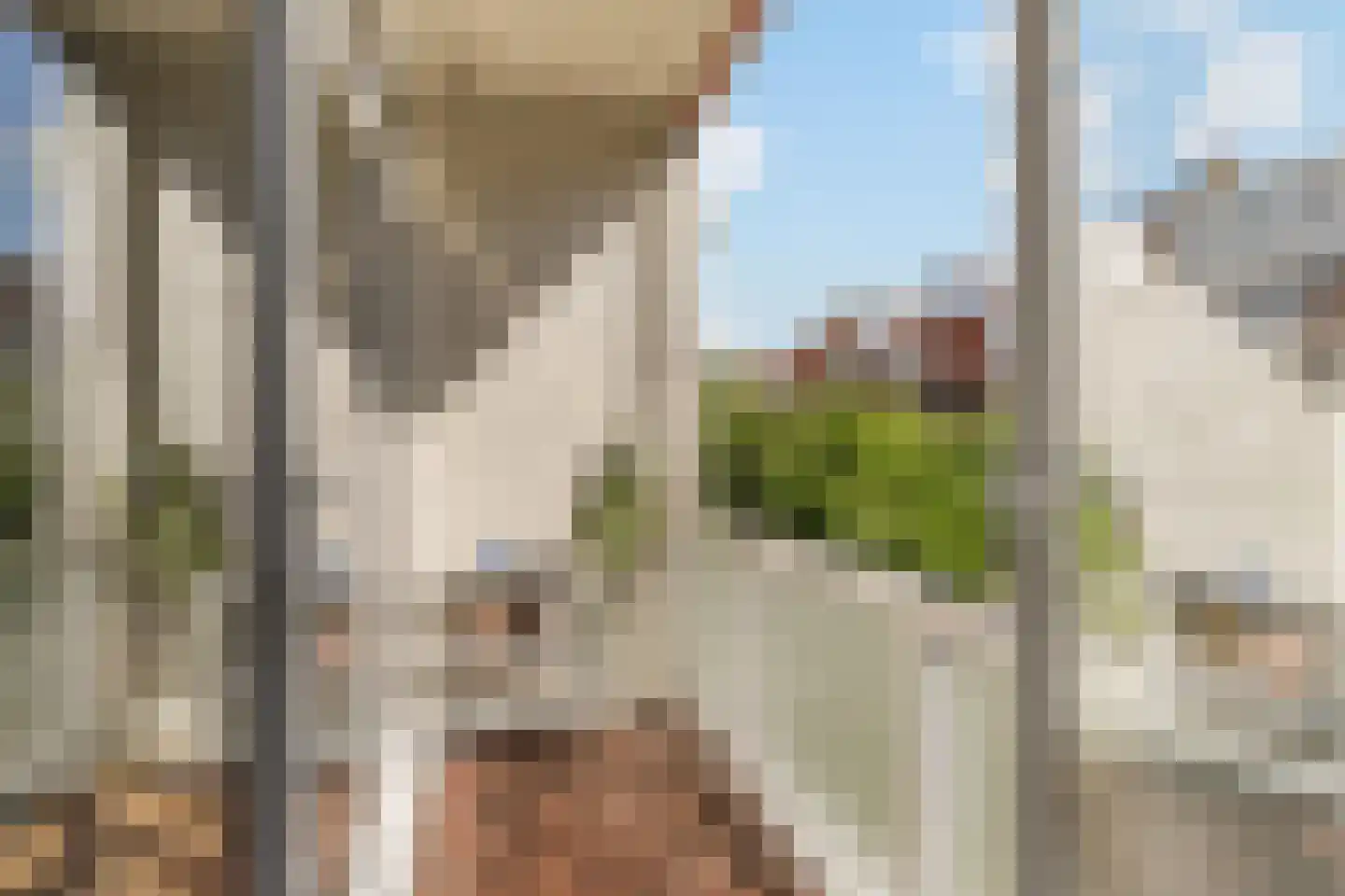Duizendschoonstraat 22 A Rotterdam thumbnail 4