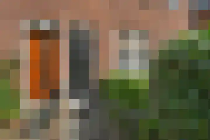 Duizendschoonstraat 24 C Rotterdam thumbnail 35