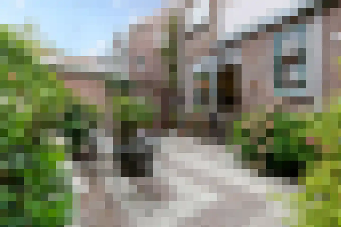 Duizendschoonstraat 26 B Rotterdam thumbnail 16
