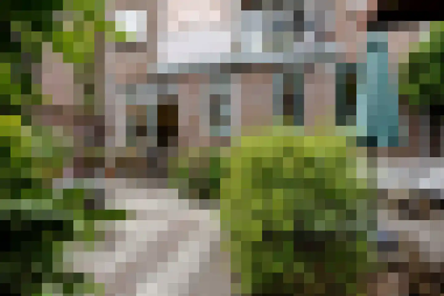 Duizendschoonstraat 26 B Rotterdam thumbnail 20