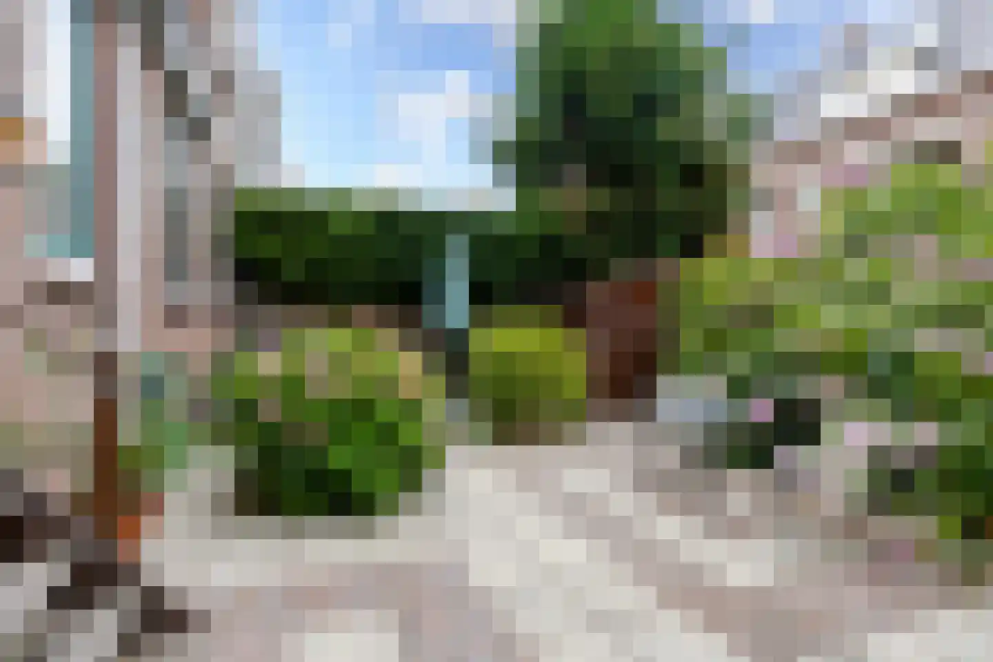Duizendschoonstraat 26 B Rotterdam thumbnail 5