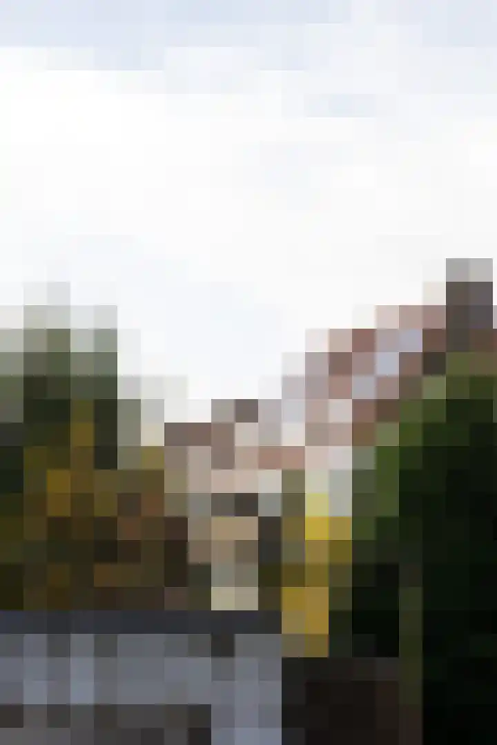 Duizendschoonstraat 29 B Rotterdam thumbnail 20