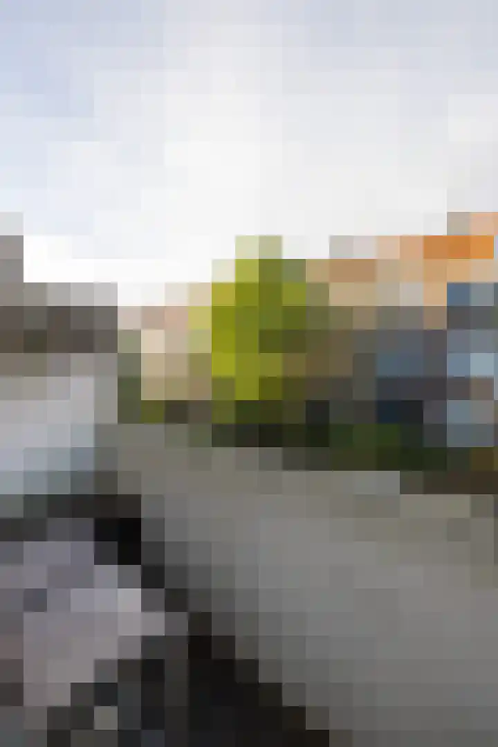 Duizendschoonstraat 29 B Rotterdam thumbnail 30