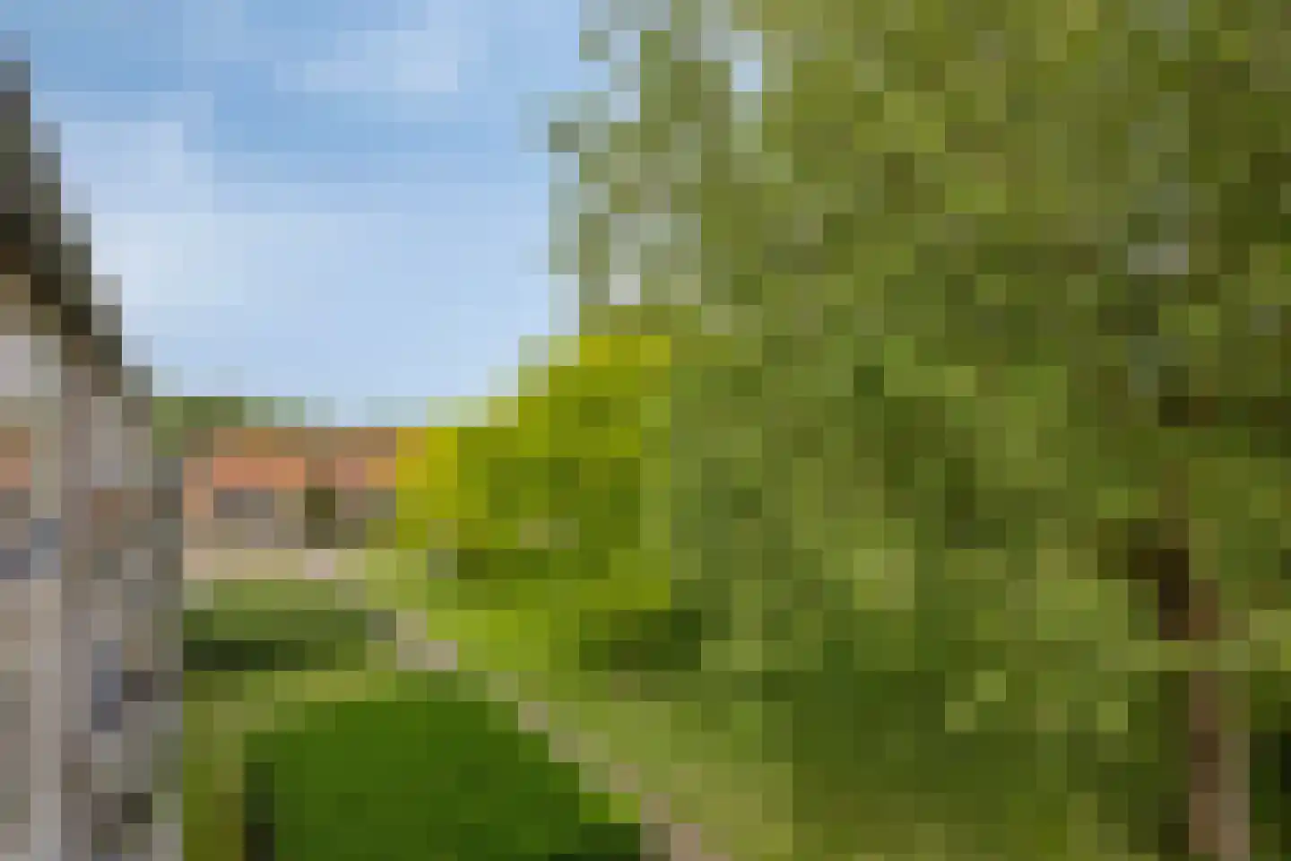 Duizendschoonstraat 29 Hoogeveen thumbnail 13