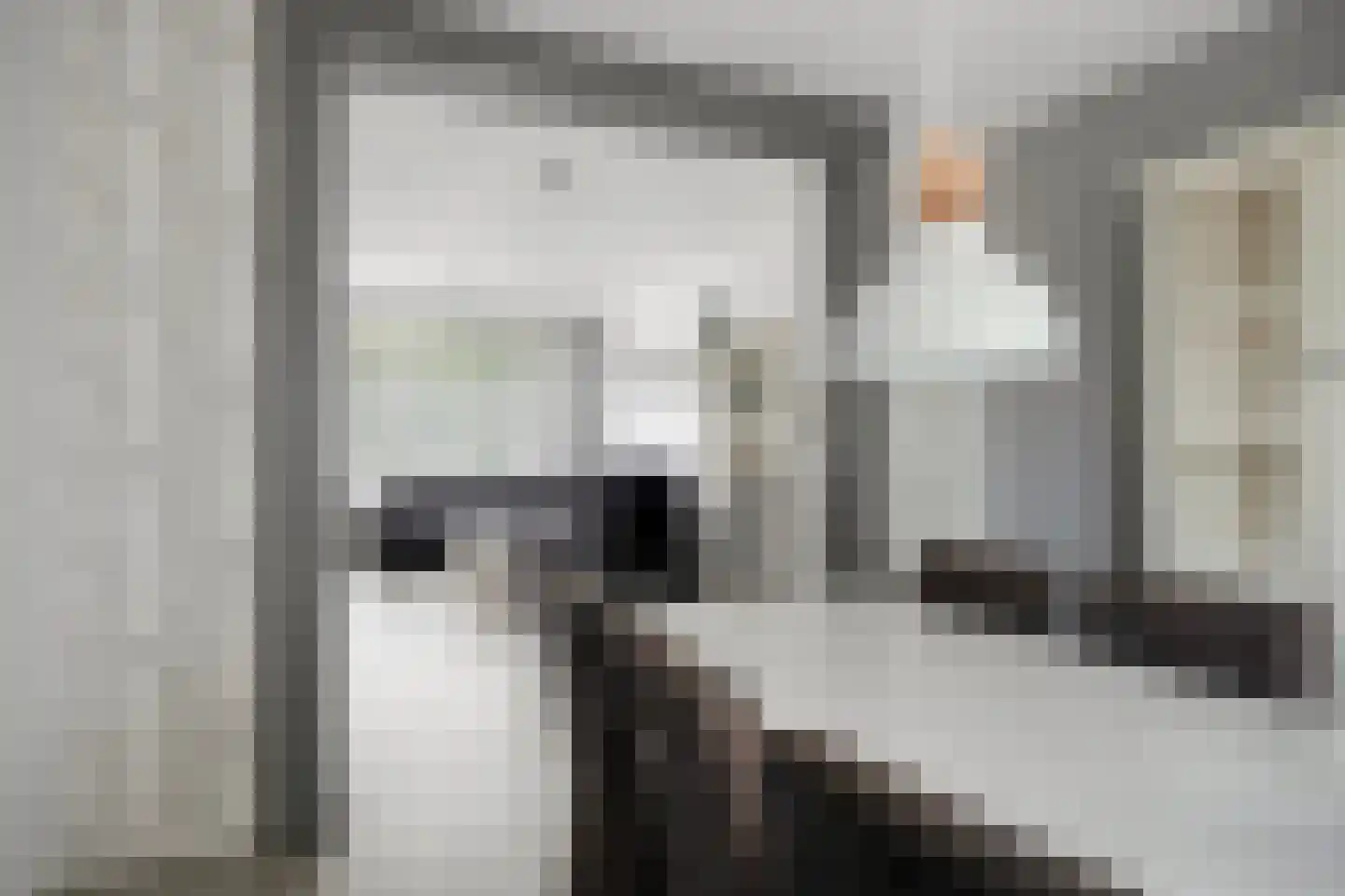 Duizendschoonstraat 29 Hoogeveen thumbnail 18
