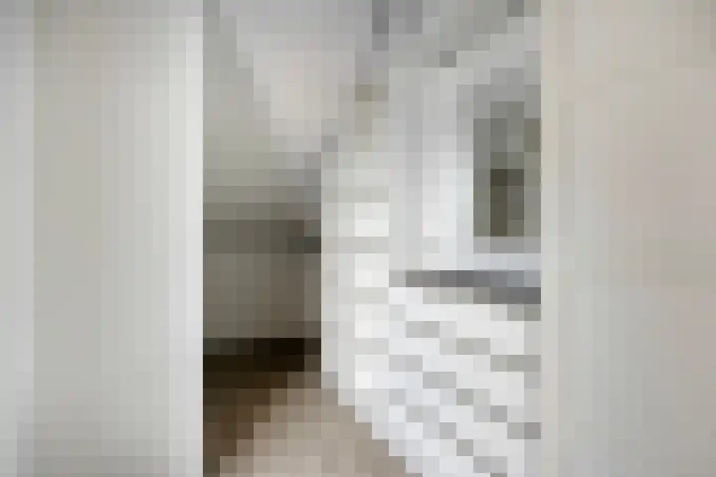 Duizendschoonstraat 29 Hoogeveen thumbnail 30