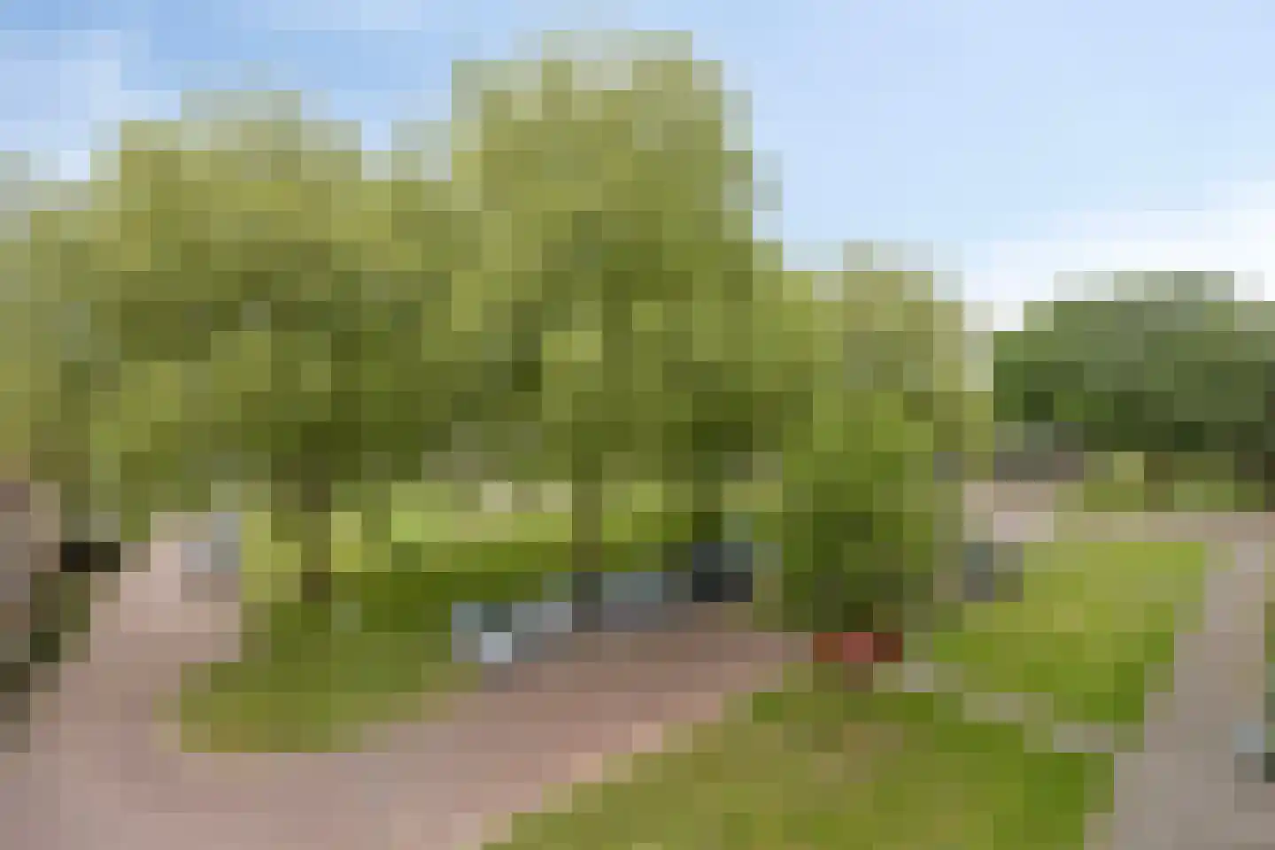 Duizendschoonstraat 29 Hoogeveen thumbnail 34
