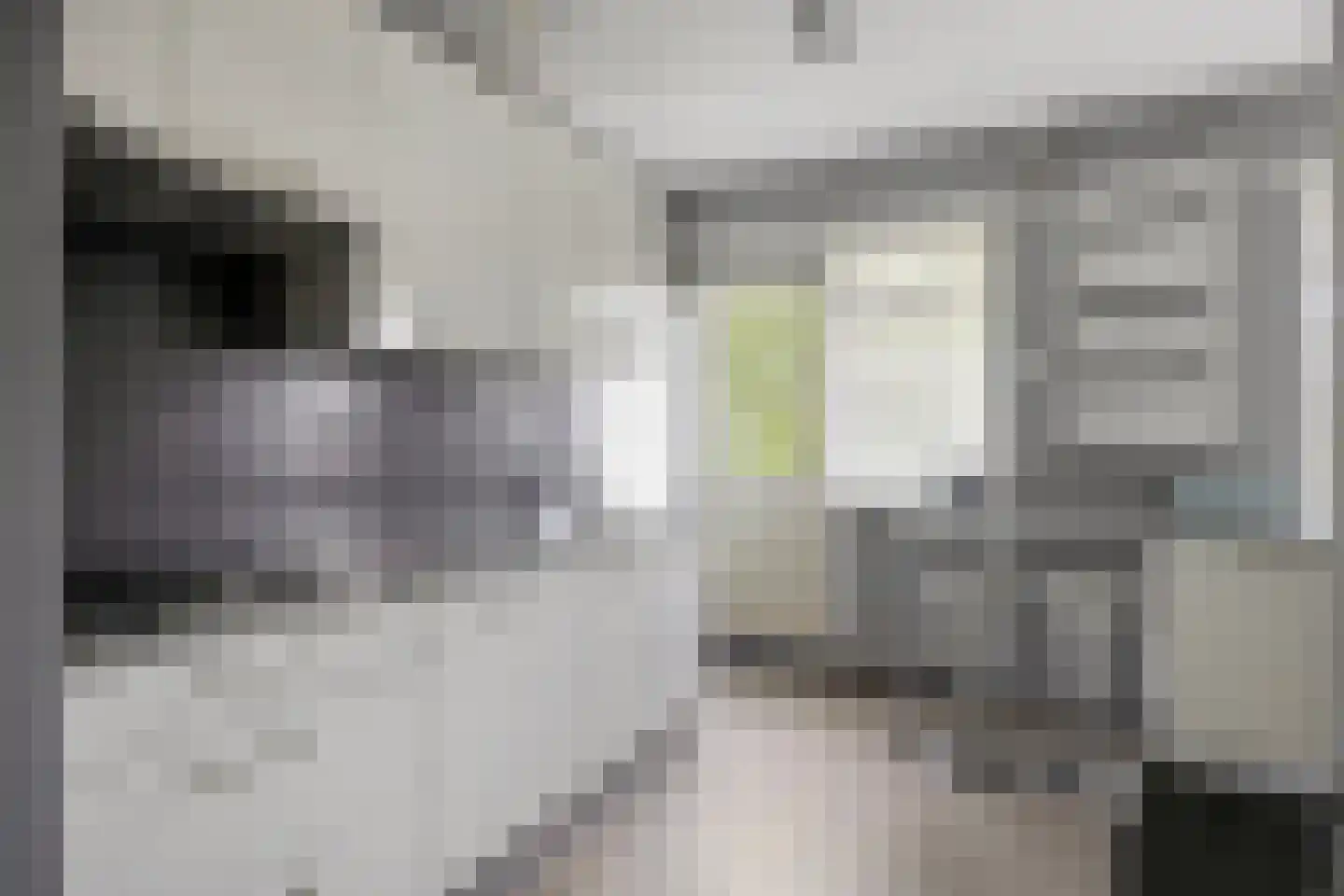 Duizendschoonstraat 29 Hoogeveen thumbnail 5
