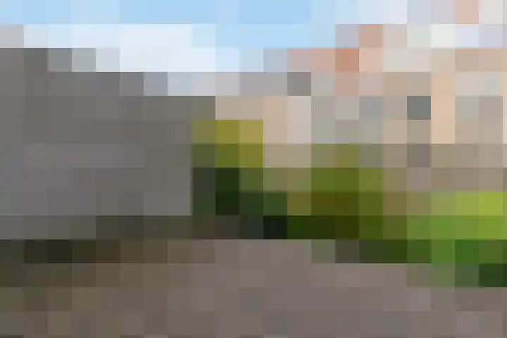 Duizendschoonstraat 3 Rotterdam thumbnail 14