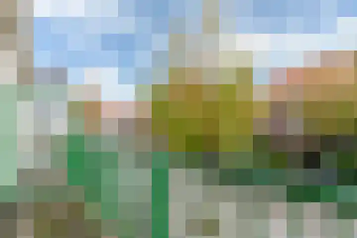 Duizendschoonstraat 3 Rotterdam thumbnail 22