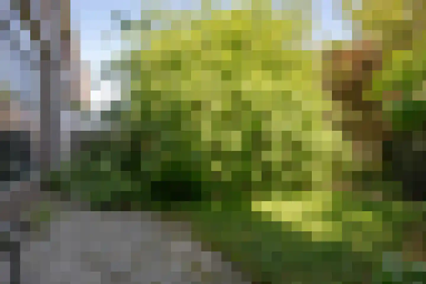 Duizendschoonstraat 32 B Rotterdam thumbnail 16